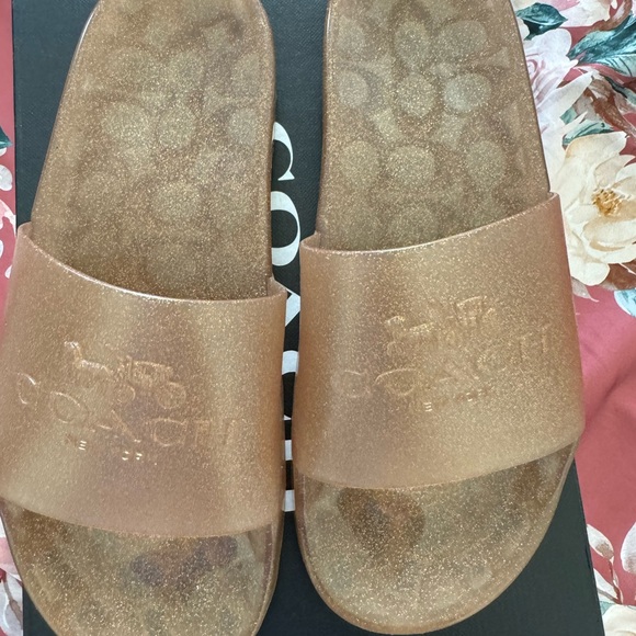 Gold Coach Slides - Picture 1 of 7